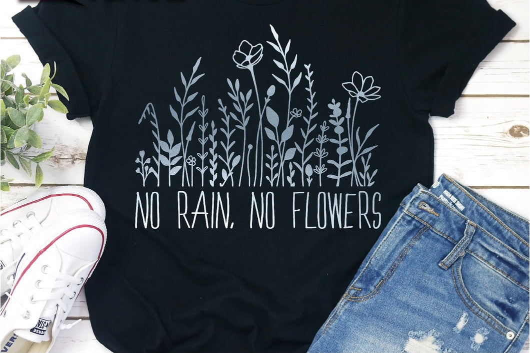 No rain