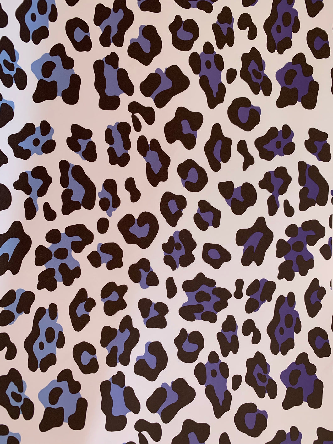 Blue leopard